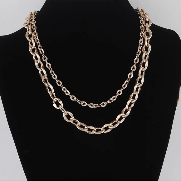 Passion of Essence Jewelry - Gold Plated Double Chain Necklace